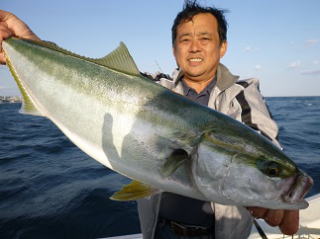 メジロ釣果