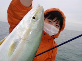 ハマチ釣り