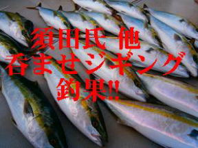 メジロ釣果