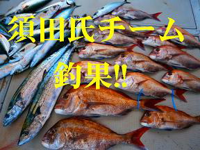 ジギング真鯛 サワラ サバ