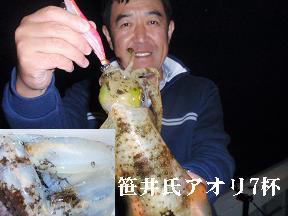 アオリイカ 中重りエギ