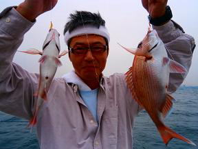 鯛サビキ