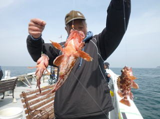 根魚 ガシラ釣り