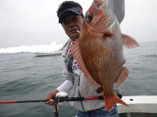 真鯛釣果