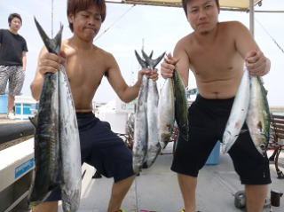 サワラ サバ 釣果