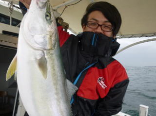 喰わせ サビキ」 青物 ブリ