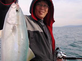 呑ませ釣り青物