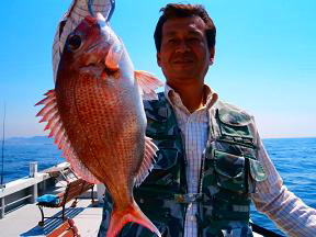真鯛釣果