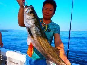 シーバス釣り