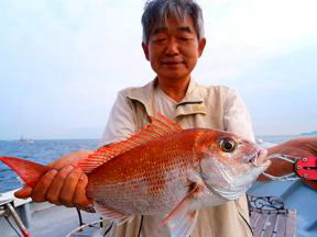 鯛釣り
