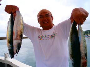 サバ釣果
