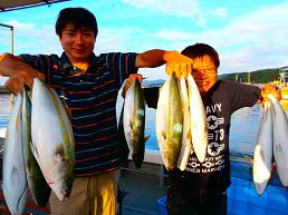 青物はまち釣果