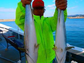 メジロ釣果