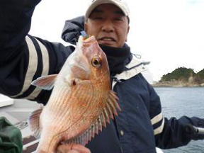 真鯛サビキ