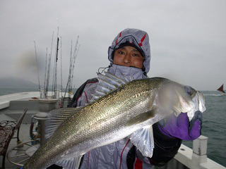 スズキ釣り