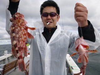 ガシラ ダブル釣果