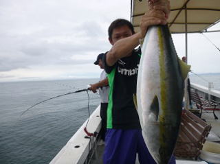 鰤 釣果 喰わせ釣り