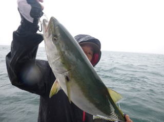 メジロ釣果 落とし込み
