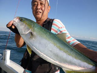 メジロ釣り