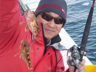 ガシラ 根魚