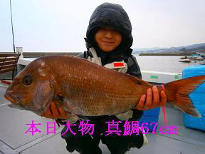 真鯛 大物