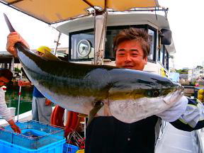 落とし込み 喰わせ釣り 青物ブリ