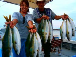 ハマチ釣果