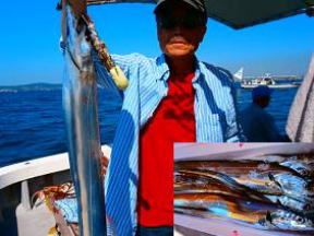 太刀魚狙い