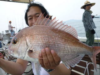 鳴門海峡 真鯛
