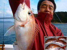 真鯛釣り