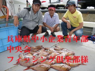真鯛釣り釣果