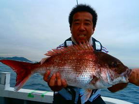 鯛釣果