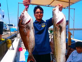 シーバス釣果