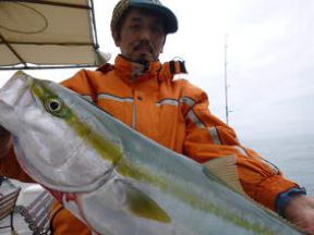 メジロ釣りジギング