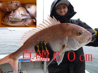 60pUP真鯛