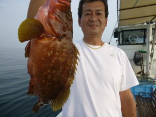 アコウ釣果