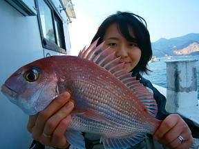 真鯛釣果