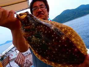 ヒラメ落とし込み
