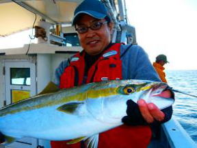 メジロ釣果