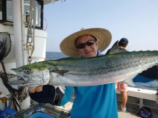 イワシの食わせ釣り サワラ