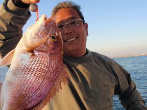 真鯛釣り
