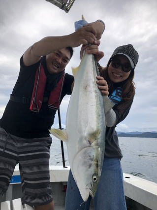 イワシの落とし込み　ブリ　鰤