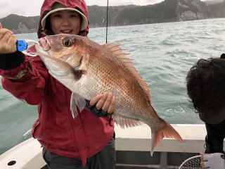 イワシの落とし込み　喰わせサビキ真鯛　大鯛