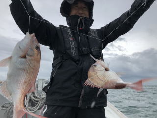 イワシの落とし込み　喰わせサビキ真鯛　大鯛