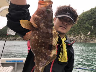 イワシの落とし込みアコウ 喰わせサビキ真鯛 大鯛