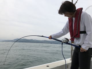 呑ませ釣り青物 鰤ブリ メジロ ハマチ
