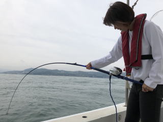 呑ませ釣り青物　鰤ブリ　メジロ　ハマチ