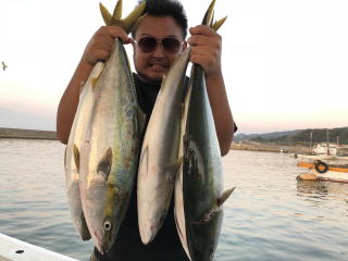 呑ませ釣り青物　鰤ブリ　メジロ　ハマチ