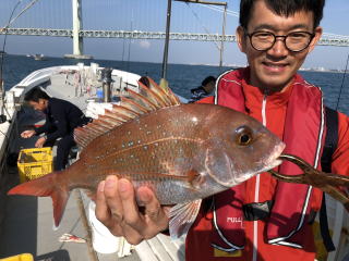 鯛サビキ　真鯛釣り