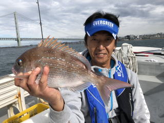 鯛サビキ 真鯛釣り